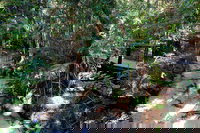 Fraser Island 4WD Tour from Rainbow Beach