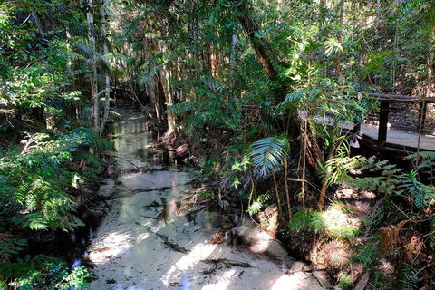 Fraser Island 4WD Tour From Rainbow Beach - Tourism Noosa 0