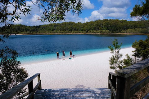 Fraser Island 4WD Tour From Rainbow Beach - Tourism Noosa 3