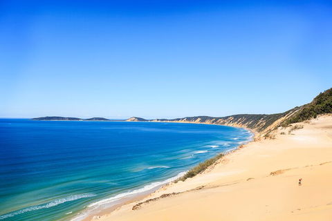 Kayak With Dolphins And 4WD Great Beach Drive Day Trip From Noosa - Tourism Noosa 0