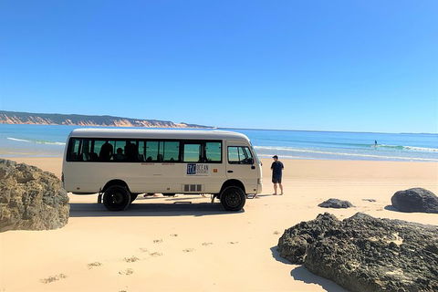 Kayak With Dolphins And 4WD Great Beach Drive Day Trip From Noosa - Tourism Noosa 4
