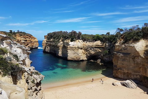 Helicopter Flight + Fine Dining Private Luxury Great Ocean Road Tour - Tourism Noosa 1