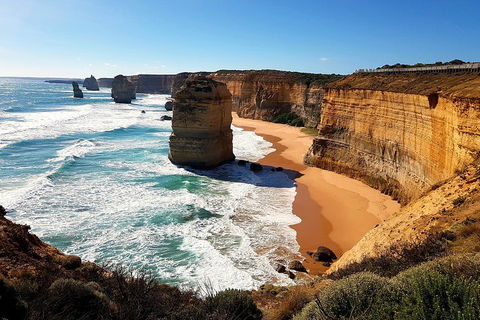 Helicopter Flight + Fine Dining Private Luxury Great Ocean Road Tour - Tourism Noosa 4