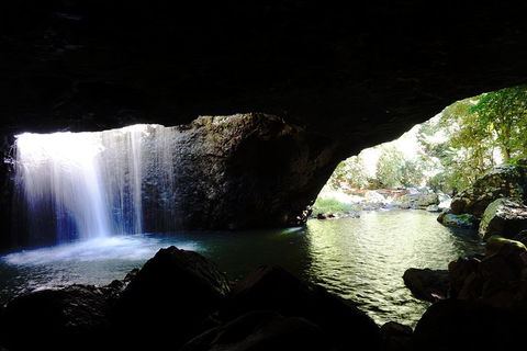 Rainforest & Waterfalls Extravaganza - Tourism Noosa 0