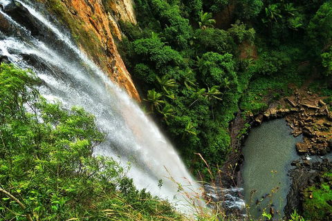 Rainforest & Waterfalls Extravaganza - Tourism Noosa 1