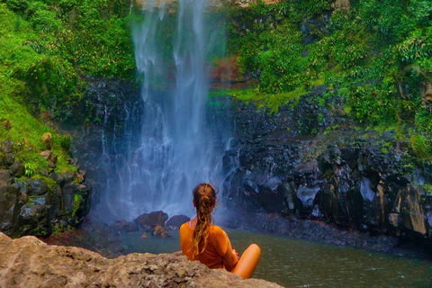 Rainforest & Waterfalls Extravaganza - Tourism Noosa 2