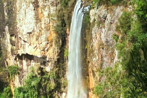 Natural Arch, Rainforest & Volcano Canyon - Private Half Day Tour - Tourism Noosa 2
