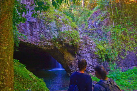Natural Arch, Rainforest & Volcano Canyon - Private Half Day Tour - Tourism Noosa 4