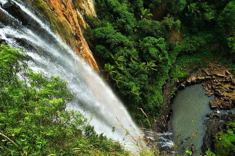 Natural Arch, Rainforest & Volcano Canyon - Private Half Day Tour - Tourism Noosa 5