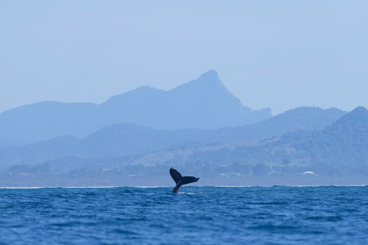  Tourism Noosa