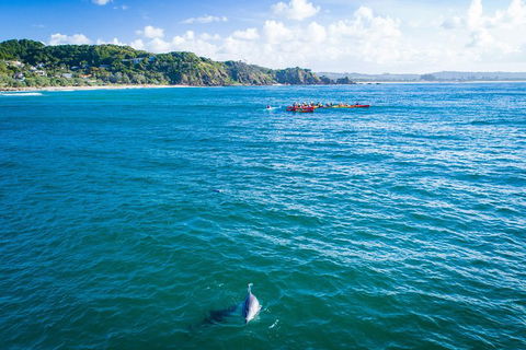 The Byron Bay Sea Kayak Tour - Tourism Noosa 2