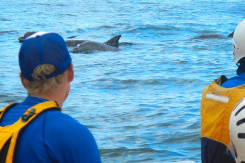 The Byron Bay Sea Kayak Tour - Tourism Noosa 4