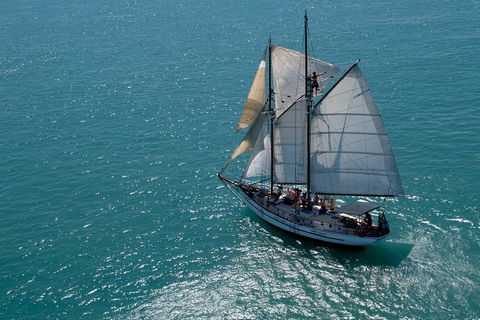 Whitehaven Beach Sailing And Snorkeling Cruise - Tourism Noosa 1