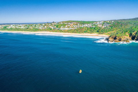 2-Hour Guided Whale Watching Tour At Noosa - Tourism Noosa 4
