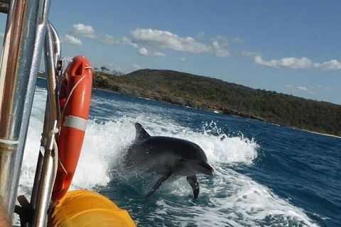 Noosa Oceanrider - Adventure Tour - Tourism Noosa 1