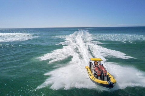 Noosa Oceanrider - Adventure Tour - Tourism Noosa 2