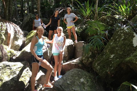 Byron Bay Hinterland Tour Including Rainforest Walk To Minyon Falls - Tourism Noosa 3