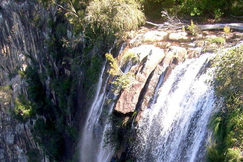 Byron Bay Combo: Hinterland Tour Including Minyon Falls And Kayaking With Dolphins - Tourism Noosa 3