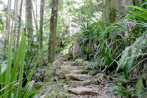 Byron Bay Combo: Hinterland Tour Including Minyon Falls And Kayaking With Dolphins - Tourism Noosa 5