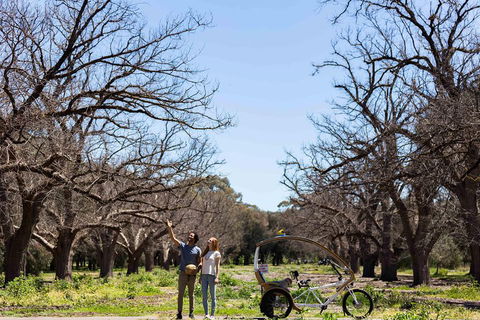 Adelaide 90-Minute Pedicab Tour: Scenic Green & River Experience - Tourism Noosa 1