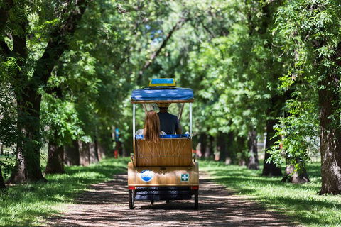 Adelaide 90-Minute Pedicab Tour: Scenic Green & River Experience - Tourism Noosa 2