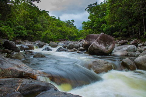 Cape Tribulation Day Tour - Tourism Noosa 0