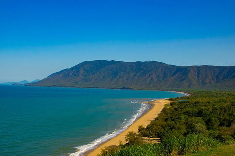 Cape Tribulation Day Tour - Tourism Noosa 1