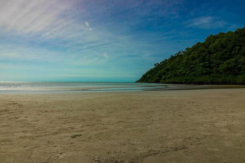 Cape Tribulation Day Tour - Tourism Noosa 2