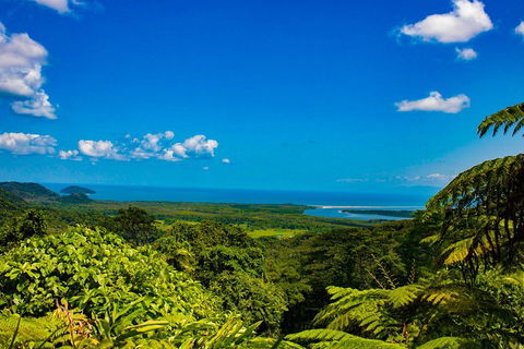 Cape Tribulation Day Tour - Tourism Noosa 3