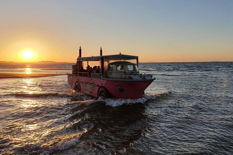 Town Of 1770 Afternoon Cruise - Tourism Noosa 3