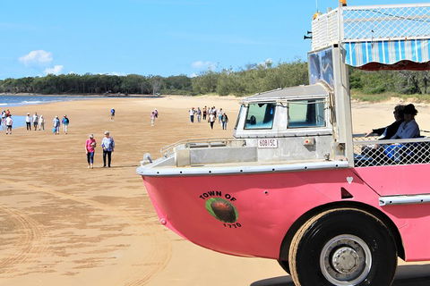 1770 Coastline Tour By LARC Amphibious Vehicle Including Picnic Lunch - Tourism Noosa 0