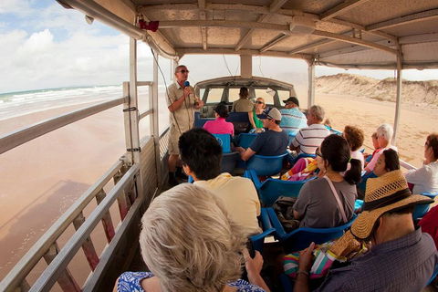 1770 Coastline Tour By LARC Amphibious Vehicle Including Picnic Lunch - Tourism Noosa 1