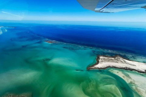 Wet Season Incredible Islands Tour - Horizontal Falls & Cygnet Bay Pearl Farm - Tourism Noosa 4