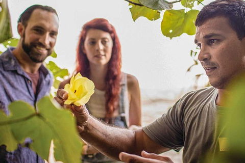 Ngana Julaymba Dungay - Full Day - Tourism Noosa 4