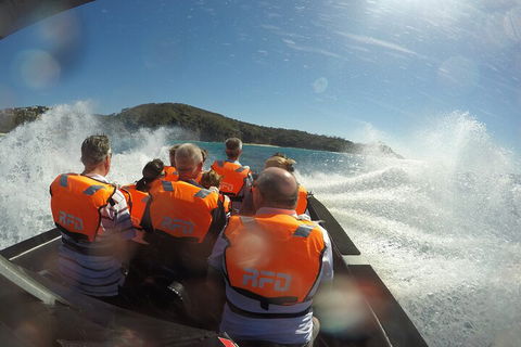Noosa Thriller - 500hp Ocean Adventure Ride - Tourism Noosa 3
