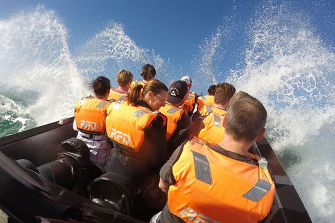 Noosa Thriller - 500hp Ocean Adventure Ride - Tourism Noosa 4