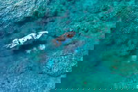 Book Viator Accommodation Vacations Tourism Noosa Tourism Noosa