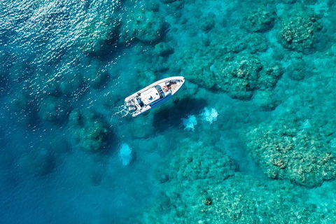 Premium Private Charter - Tourism Noosa 0