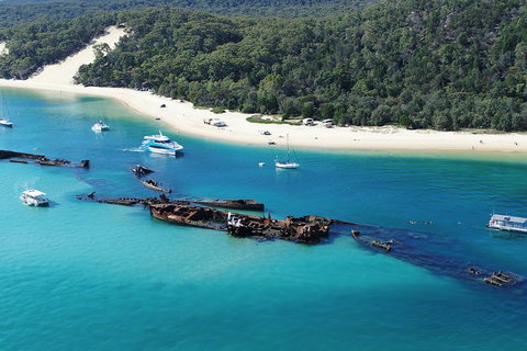 All Inclusive Dolphin And Tangalooma Wrecks Cruise - Tourism Noosa 4