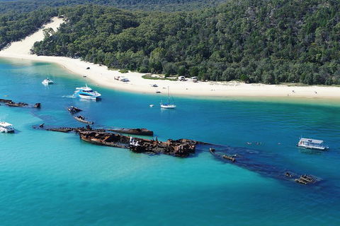 All Inclusive Tangalooma Wrecks Cruise Tour From Gold Coast - Tourism Noosa 0
