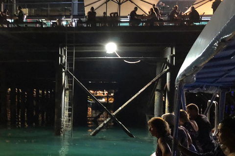 Darwin Sunset Cruise Including Fish 'n' Chips - Tourism Noosa 0