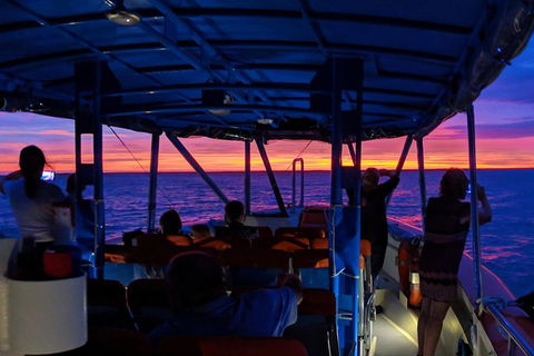 Darwin Sunset Cruise Including Fish 'n' Chips - Tourism Noosa 1