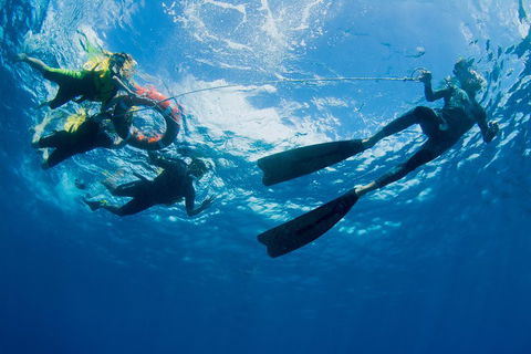 Passions Of Paradise Great Barrier Reef Snorkel And Dive Cruise From Cairns By Luxury Catamaran - Tourism Noosa 2