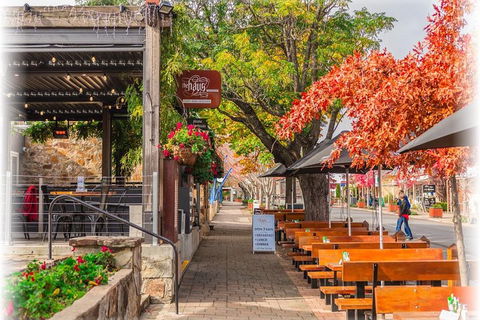 Adelaide City Highlights With Hahndorf And Mt. Lofty - Tourism Noosa 5