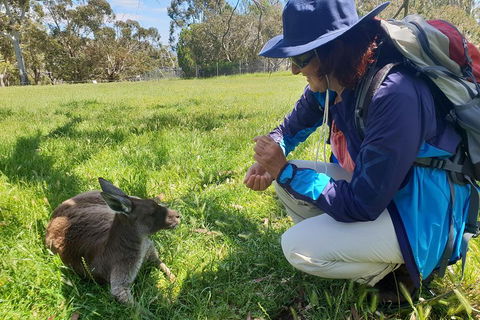 Mount Lofty Hike And Cleland Wildlife Park Day Trip From Adelaide - Tourism Noosa 1