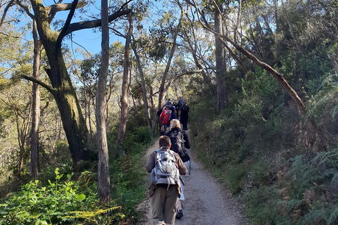 Mount Lofty Hike And Cleland Wildlife Park Day Trip From Adelaide - Tourism Noosa 3
