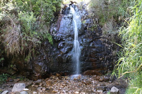 Mount Lofty Hike And Cleland Wildlife Park Day Trip From Adelaide - Tourism Noosa 4