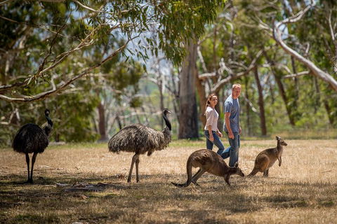 Mount Lofty Hike And Cleland Wildlife Park Day Trip From Adelaide - Tourism Noosa 5