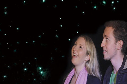 Natural Bridge Glow Worm Night Tour From Gold Coast - Tourism Noosa 3