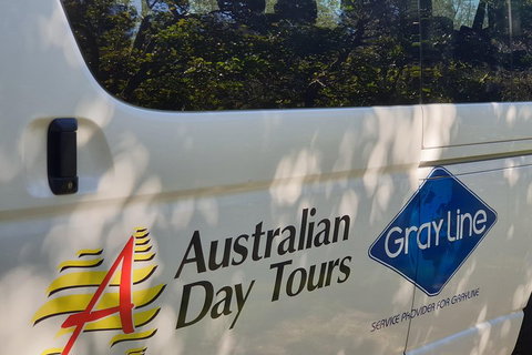 Natural Bridge Glow Worm Night Tour From Gold Coast - Tourism Noosa 5